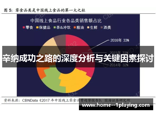 辛纳成功之路的深度分析与关键因素探讨