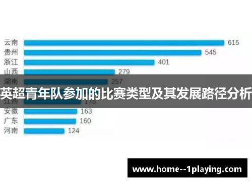 英超青年队参加的比赛类型及其发展路径分析