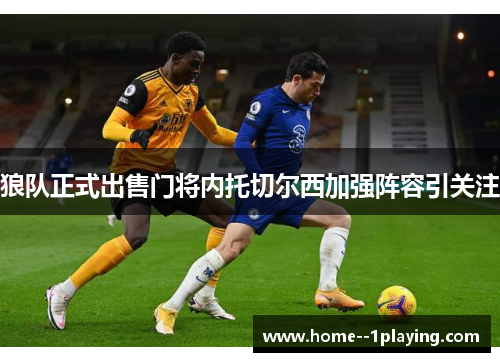 狼队正式出售门将内托切尔西加强阵容引关注 狼队正式出售门将内托切尔西加强阵容引关注
