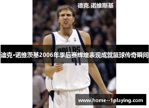 迪克·诺维茨基2006年季后赛辉煌表现成就篮球传奇瞬间